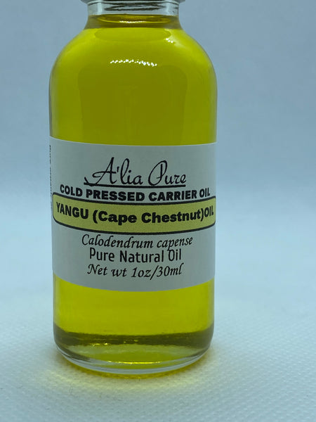 Yangu (Cape Chestnut) Oil