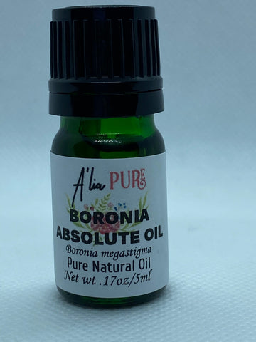 Magnolia Absolute Oil (Magnolia Grandiflora) – HIGH ALTITUDE COSMECEUTICALS™