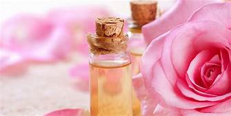 Wild Rose & Bergamot Perfume Oil